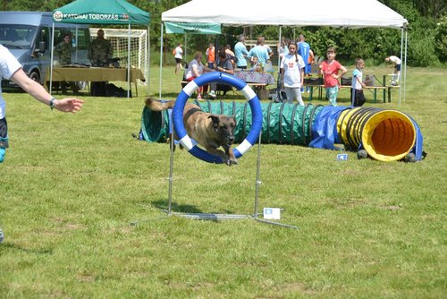 DSC_3105kicsi