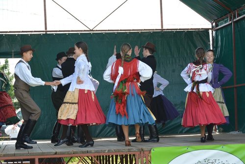 DSC_3364kicsi