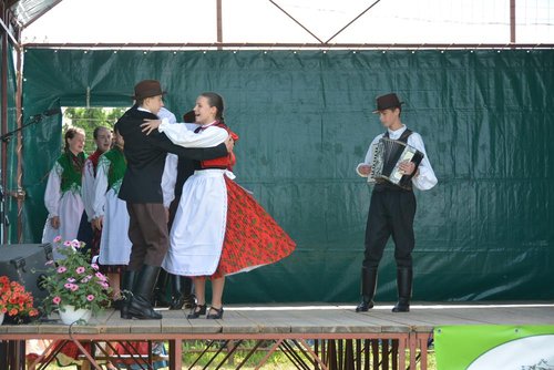 DSC_3381kicsi