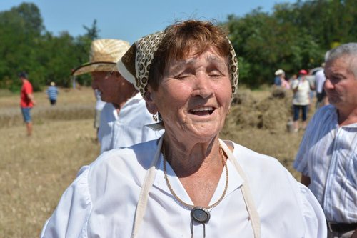 DSC_3490kicsi