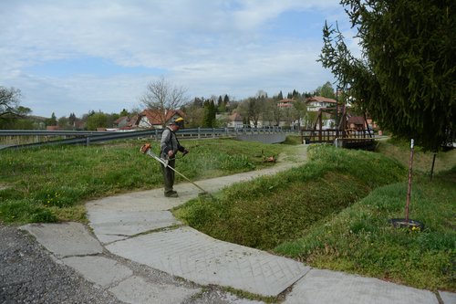 DSC_4448