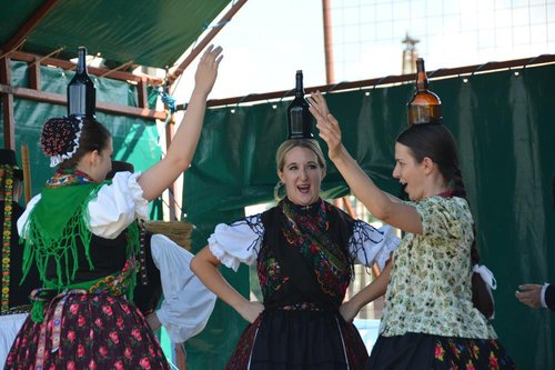 DSC_5288kicsi