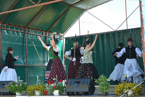 DSC_5292kicsi