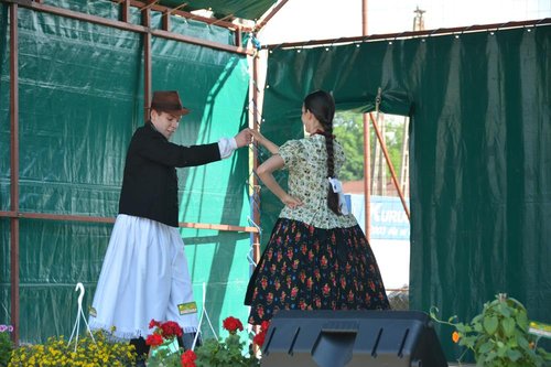 DSC_5295kicsi