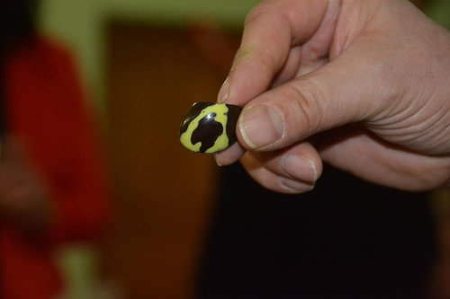 DSC_5618kicsi