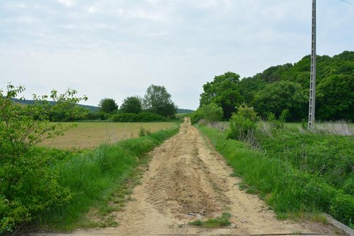 DSC_5768kicsi