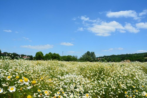 DSC_6782kicsi