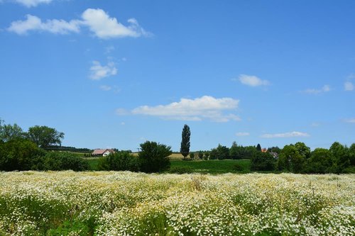 DSC_6789kicsi