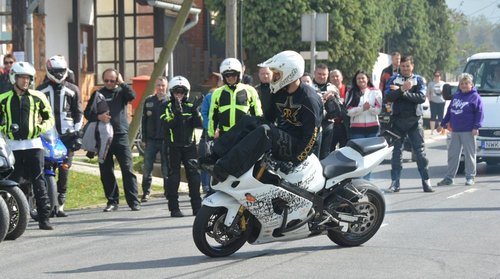 DSC_87281kicsi