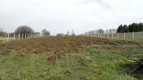 IMG_20180404_101151