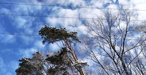 IMG_20210201_102125
