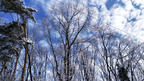 IMG_20210201_102313