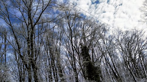 IMG_20210201_102316
